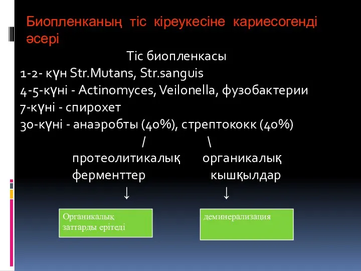 Биопленканың тіс кіреукесіне кариесогенді әсері Тіс биопленкасы 1-2- күн Str.Mutans,