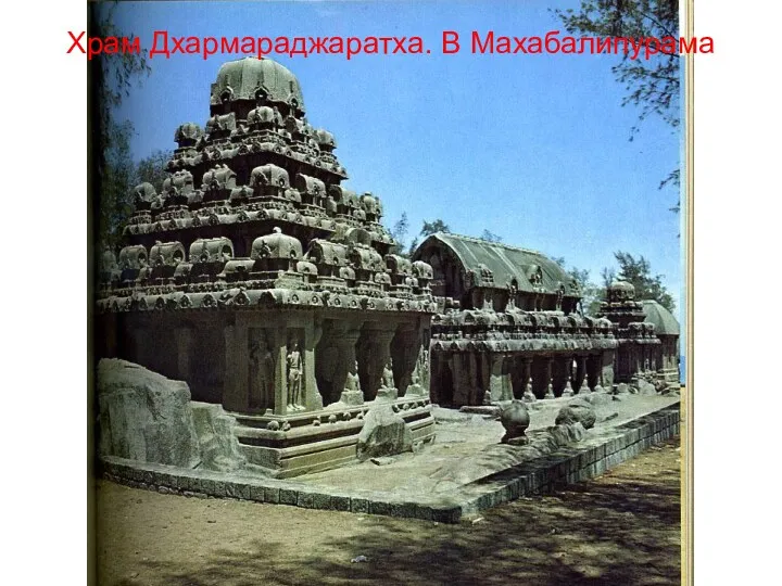 Храм Дхармараджаратха. В Махабалипурама