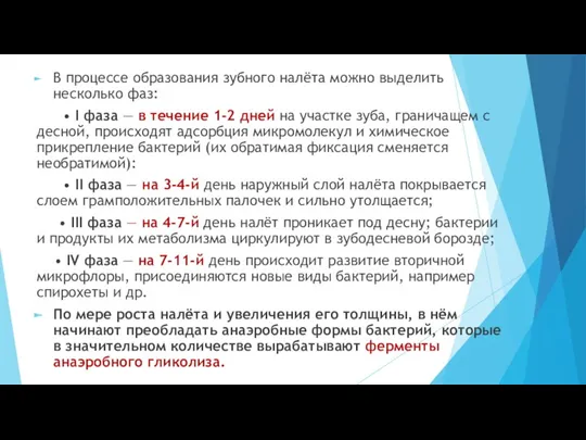 В процессе образования зубного налёта можно выделить несколько фаз: •