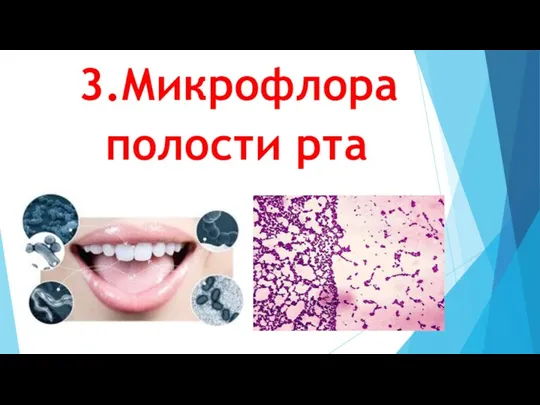 3.Микрофлора полости рта