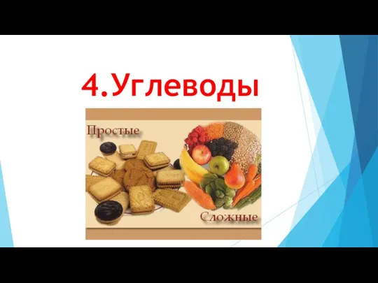 4.Углеводы