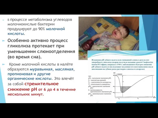 В процессе метаболизма углеводов молочнокислые бактерии продуцируют до 90% молочной