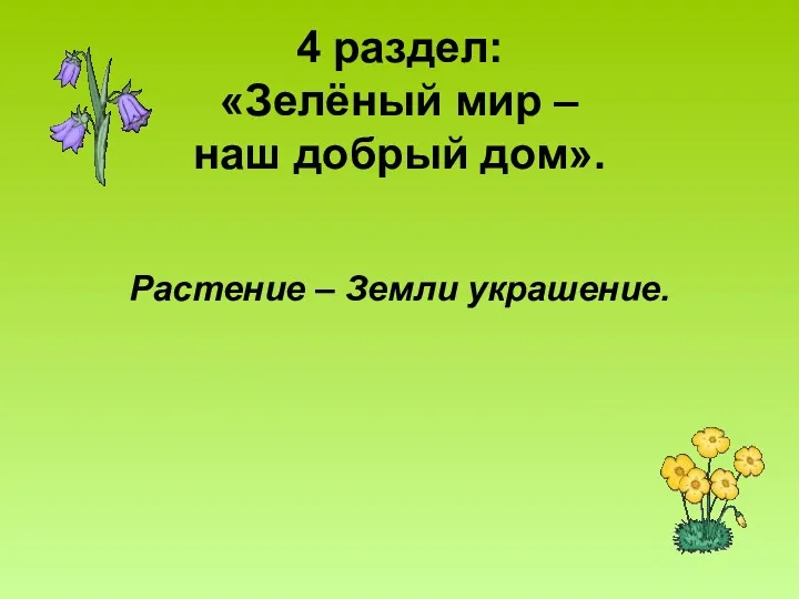 4 раздел: «Зелёный мир – наш добрый дом». Растение – Земли украшение.