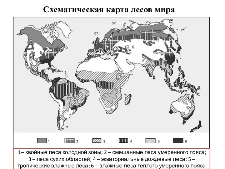 Схематическая карта лесов мира 1– хвойные леса холодной зоны; 2