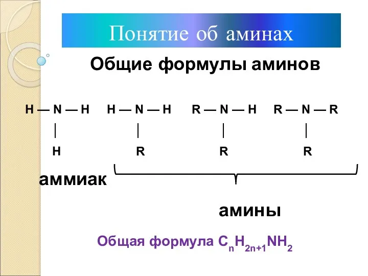 Понятие об аминах Общие формулы аминов Н — N —