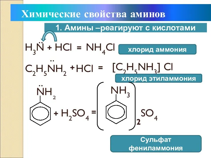 + H3N HCl = NH4Cl хлорид аммония C2H5NH2 : :