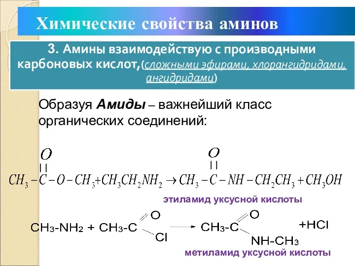 Химические свойства аминов Образуя Амиды – важнейший класс органических соединений: этиламид уксусной кислоты метиламид уксусной кислоты