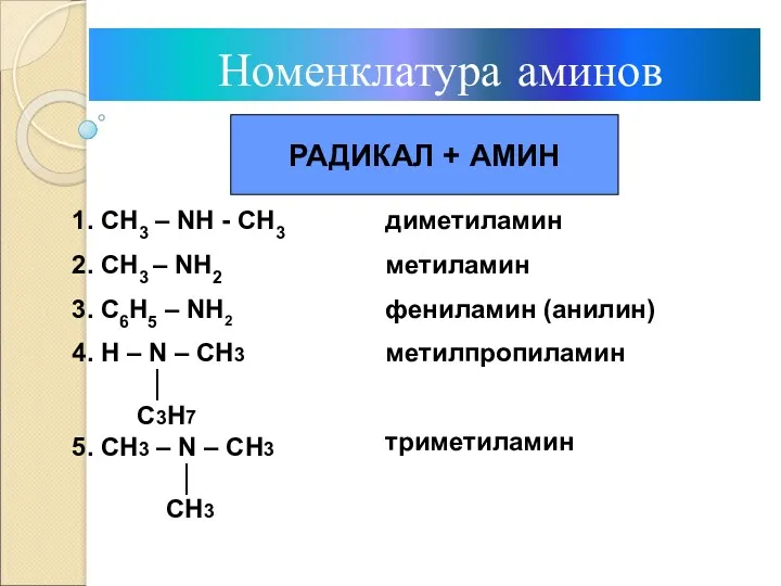 Номенклатура аминов РАДИКАЛ + АМИН 1. СН3 – NН -