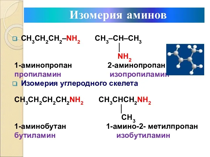 CH3CH2CH2–NH2 CH3–CH–CH3 │ NH2 1-аминопропан 2-аминопропан пропиламин изопропиламин Изомерия углеродного
