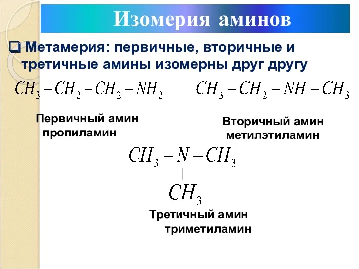 Метамерия: первичные, вторичные и третичные амины изомерны друг другу Первичный