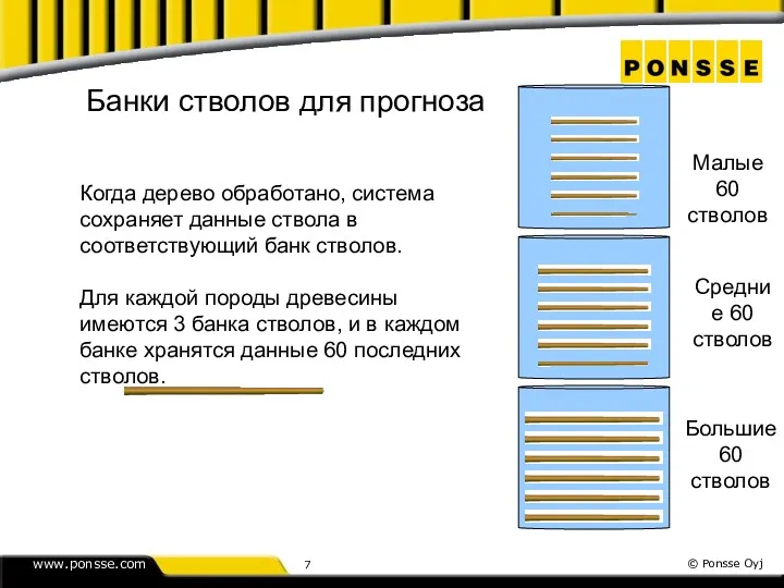 Банки стволов для прогноза Когда дерево обработано, система сохраняет данные ствола в соответствующий