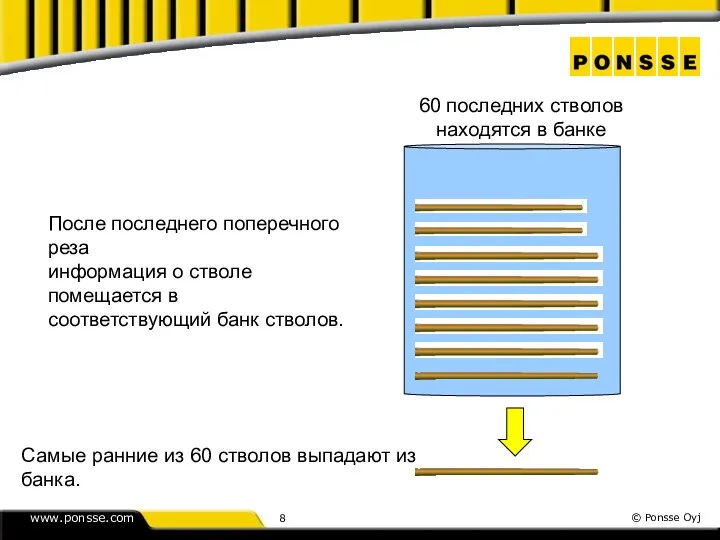 60 последних стволов находятся в банке После последнего поперечного реза