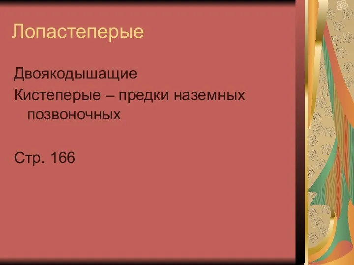 Лопастеперые Двоякодышащие Кистеперые – предки наземных позвоночных Стр. 166