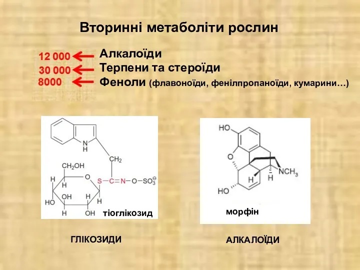 Вторинні метаболіти рослин ГЛІКОЗИДИ АЛКАЛОЇДИ Алкалоїди Терпени та стероїди Феноли (флавоноїди, фенілпропаноїди, кумарини…)