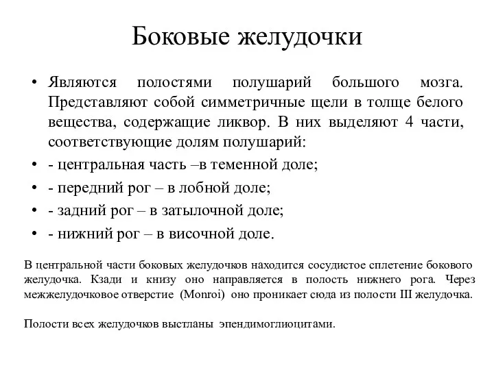 Боковые желудочки Являются полостями полушарий большого мозга. Представляют собой симметричные