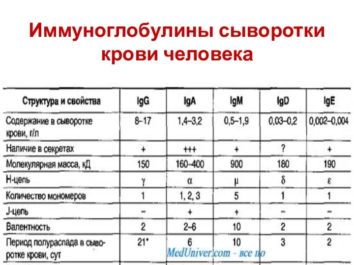 Иммуноглобулины сыворотки крови человека