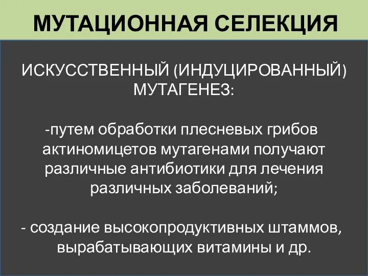 МУТАЦИОННАЯ СЕЛЕКЦИЯ ИСКУССТВЕННЫЙ (ИНДУЦИРОВАННЫЙ) МУТАГЕНЕЗ: путем обработки плесневых грибов актиномицетов