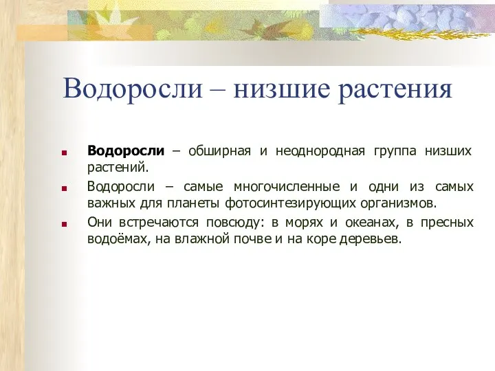 Водоросли – низшие растения Водоросли – обширная и неоднородная группа