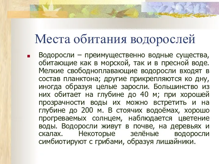 Места обитания водорослей Водоросли – преимущественно водные существа, обитающие как