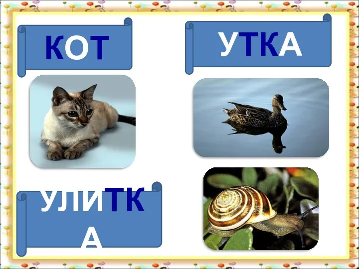 КОТ УТКА УЛИТКА