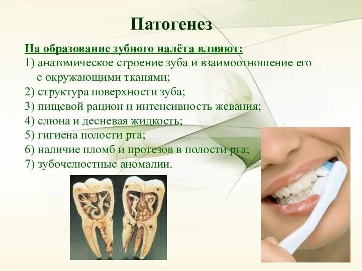 Патогенез Патогенез На образование зубного налёта влияют: 1) анатомическое строение