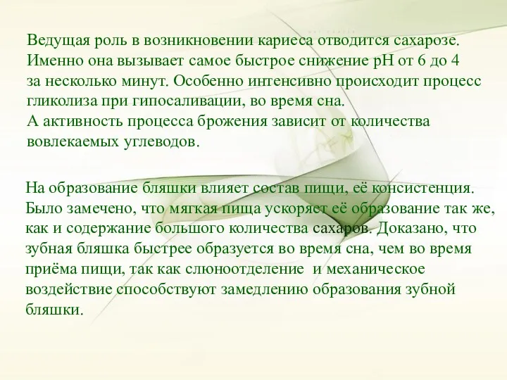 Ведущая роль в возникновении кариеса отводится сахарозе. Именно она вызывает