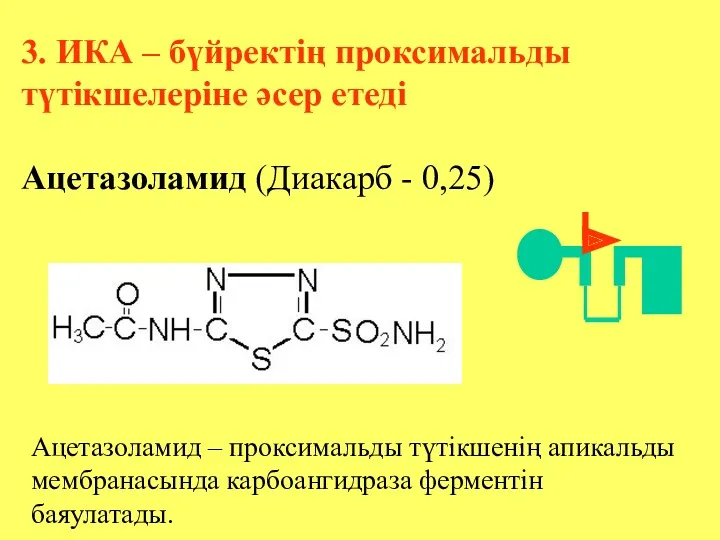 3. ИКА – бүйректің проксимальды түтікшелеріне әсер етеді Ацетазоламид (Диакарб