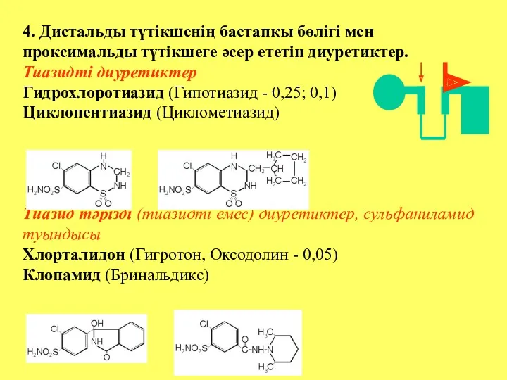 4. Дистальды түтікшенің бастапқы бөлігі мен проксимальды түтікшеге әсер ететін