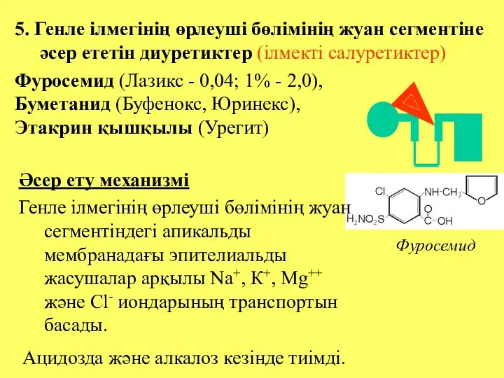 5. Генле ілмегінің өрлеуші бөлімінің жуан сегментіне әсер ететін диуретиктер