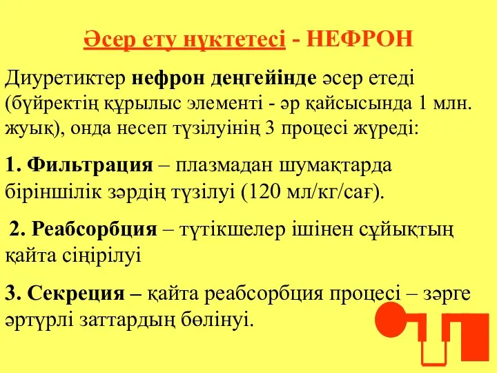 Әсер ету нүктетесі - НЕФРОН Диуретиктер нефрон деңгейінде әсер етеді