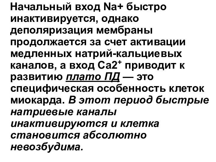 Начальный вход Nа+ быстро инактивируется, однако деполяризация мембраны продолжается за