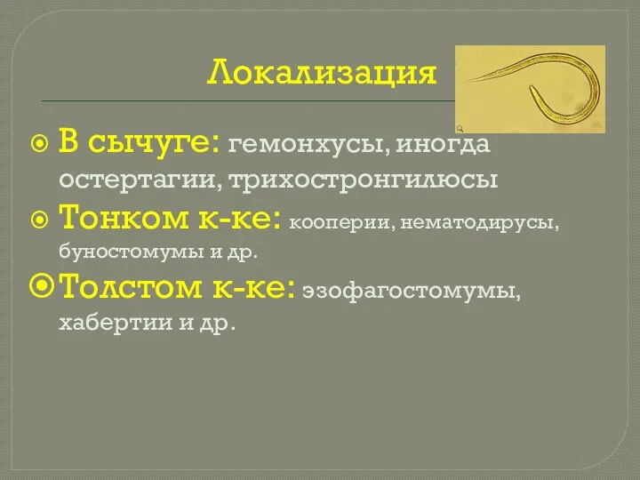 Локализация В сычуге: гемонхусы, иногда остертагии, трихостронгилюсы Тонком к-ке: кооперии,