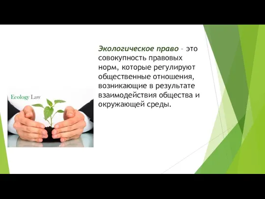 Экологическое право – это совокупность правовых норм, которые регулируют общественные