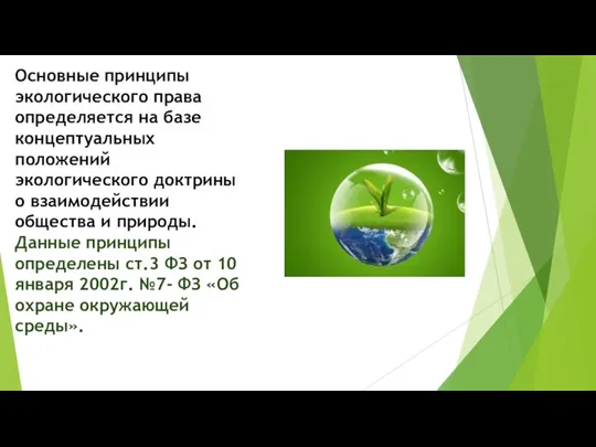 Основные принципы экологического права определяется на базе концептуальных положений экологического