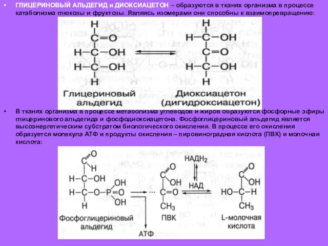 ГЛИЦЕРИНОВЫЙ АЛЬДЕГИД и ДИОКСИАЦЕТОН – образуются в тканях организма в