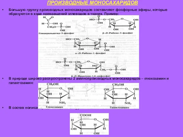 ПРОИЗВОДНЫЕ МОНОСАХАРИДОВ Большую группу производных моносахаридов составляют фосфорные эфиры, которые