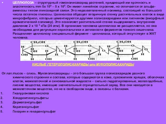 ЦЕЛЛЮЛОЗА – структурный гомополисахарид растений, придающий им прочность и эластичность