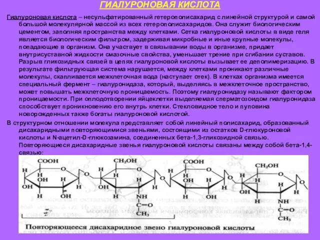 ГИАЛУРОНОВАЯ КИСЛОТА Гиалуроновая кислота – несульфатированный гетерополисахарид с линейной структурой