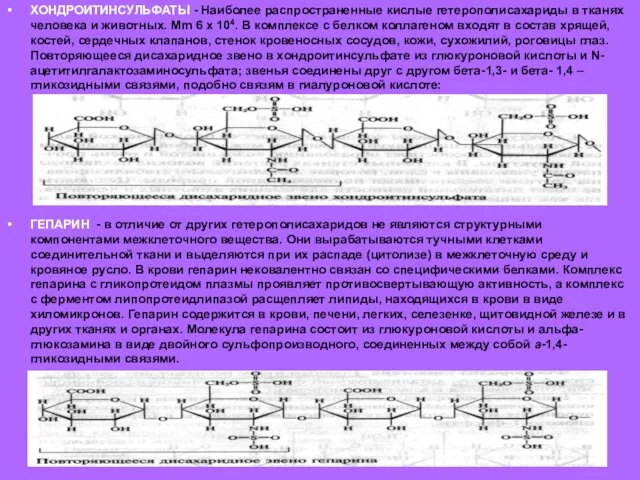 ХОНДРОИТИНСУЛЬФАТЫ - Наиболее распространенные кислые гетерополисахариды в тканях человека и