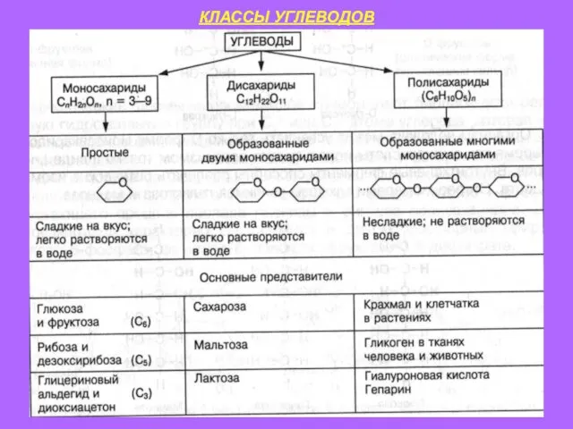 КЛАССЫ УГЛЕВОДОВ