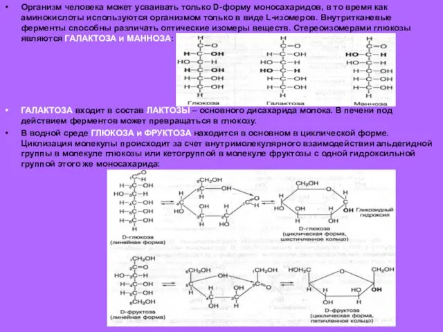 Организм человека может усваивать только D-форму моносахаридов, в то время