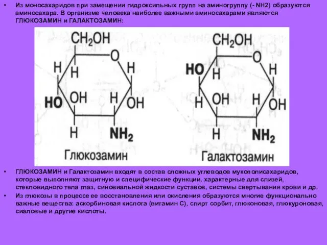 Из моносахаридов при замещении гидроксильных групп на аминогруппу (- NH2)