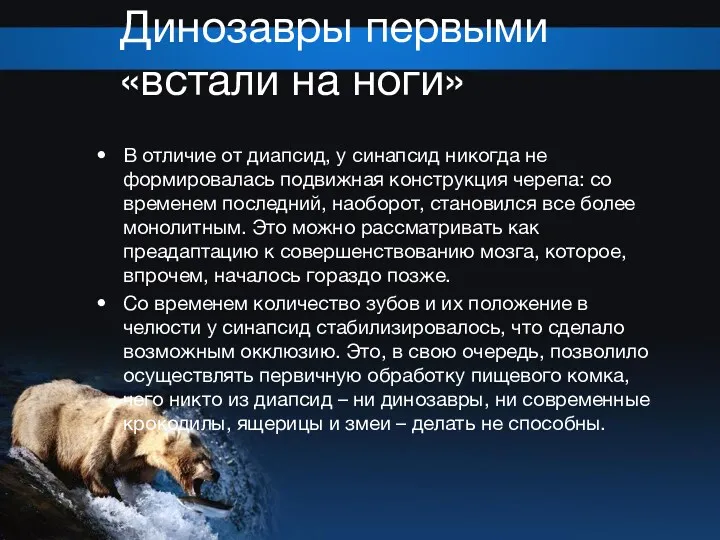 Динозавры первыми «встали на ноги» В отличие от диапсид, у