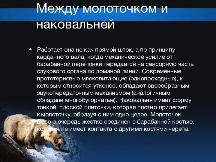 Между молоточком и наковальней Работает она не как прямой шток,