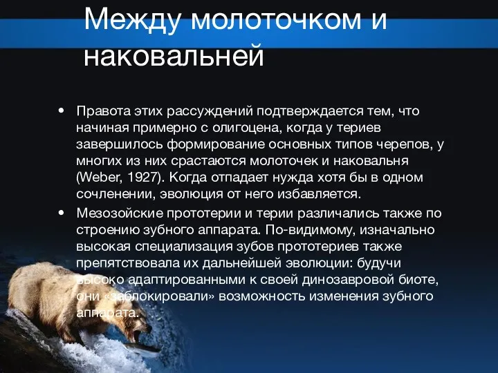 Между молоточком и наковальней Правота этих рассуждений подтверждается тем, что