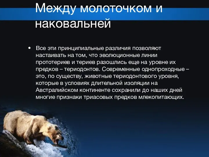 Между молоточком и наковальней Все эти принципиальные различия позволяют настаивать