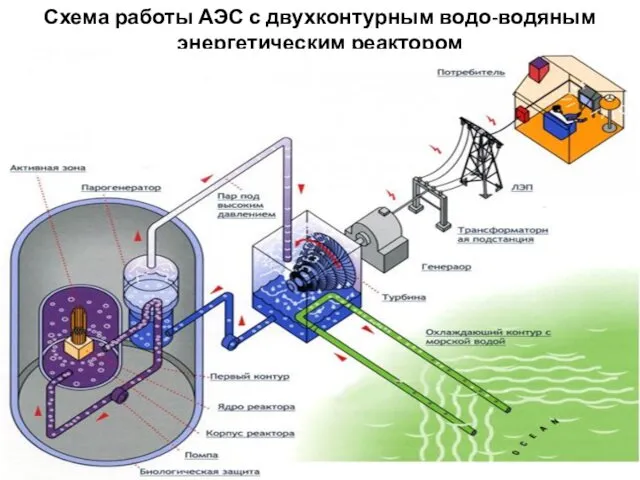 Схема работы АЭС с двухконтурным водо-водяным энергетическим реактором