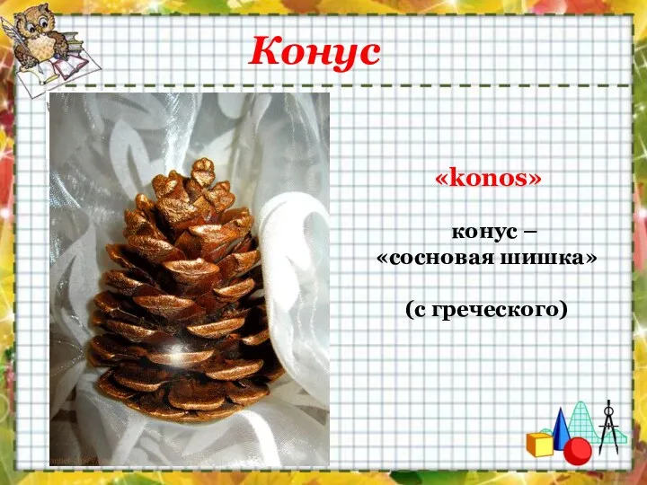 «konos» конус – «сосновая шишка» (с греческого) Конус