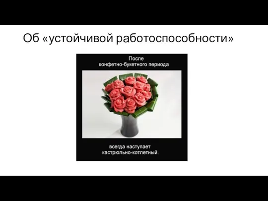 Об «устойчивой работоспособности»