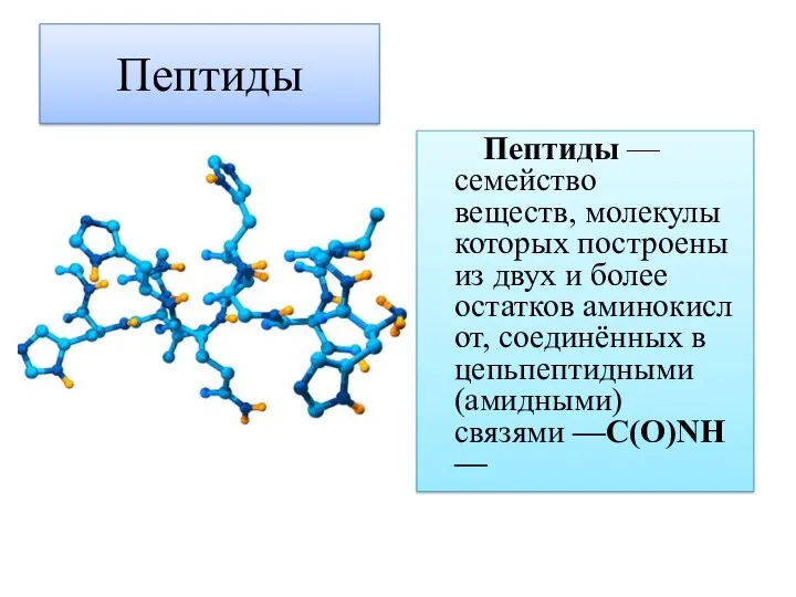 Пептиды — семейство веществ, молекулы которых построены из двух и